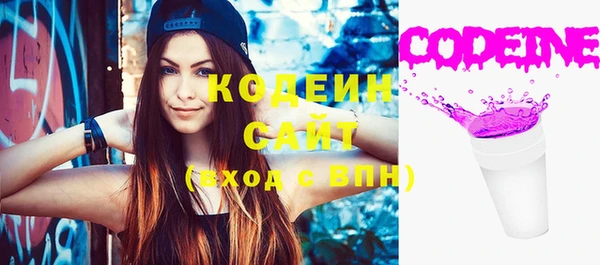 соль ск Балахна