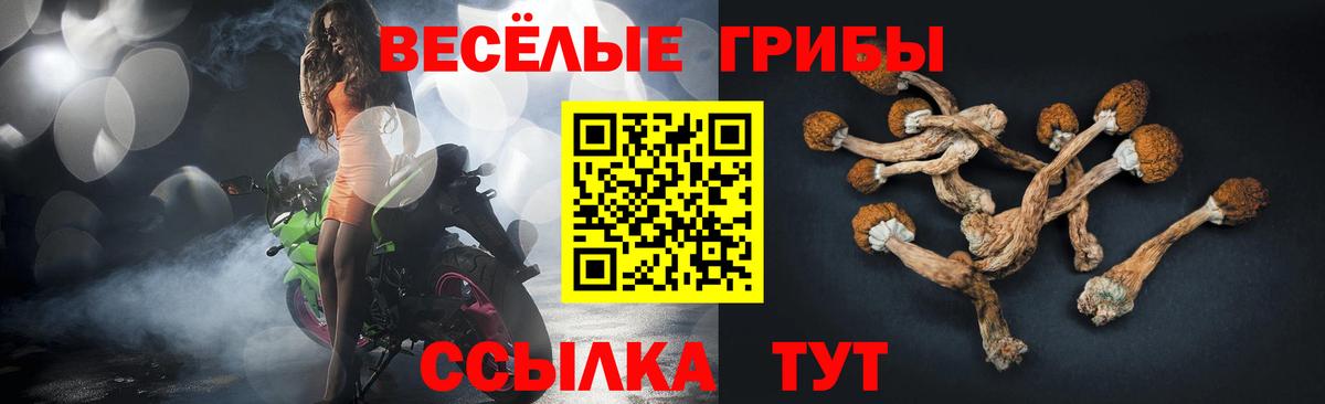 Псилоцибиновые грибы Psilocybe  Галлюциногенные грибы GOLDEN TEACHER  купить   Балтийск  Вход с VPN 