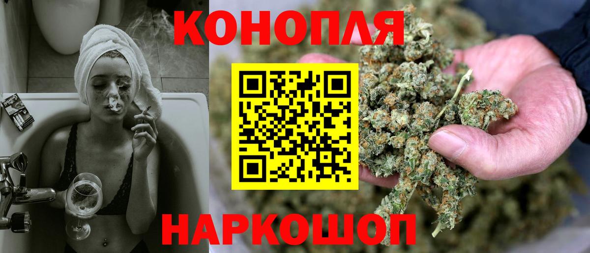 Каннабис индика Балтийск